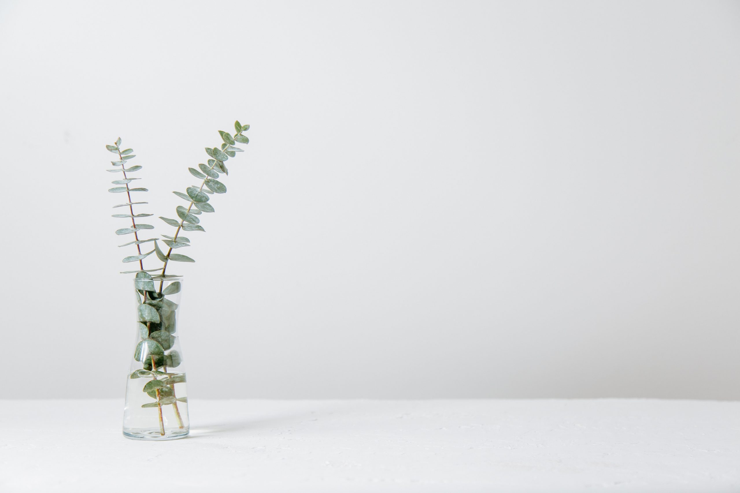 Foundations Series: Getting Off on the Right Foot in Couples Therapy